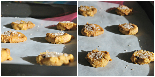 PicMonkey Collage-cookies